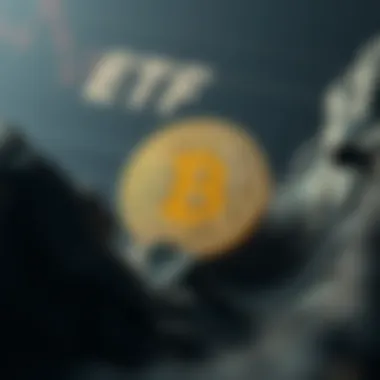 Magnificent 비트코인 ETF의 이해와 영향 Magnificent 비트코인 ETF의 이해와 영향
