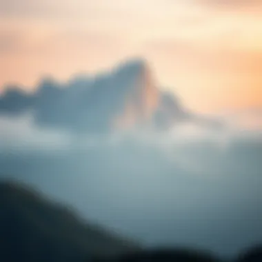 Magnificent 비트코인 시세 그래프의 분석과 이해 Magnificent 비트코인 시세 그래프의 분석과 이해