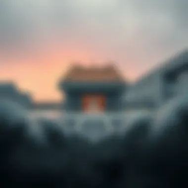 Magnificent 보바네트워크의 심층 탐구 Magnificent 보바네트워크의 심층 탐구