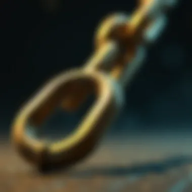 Magnificent Chainlink 구매 가이드 Magnificent Chainlink 구매 가이드