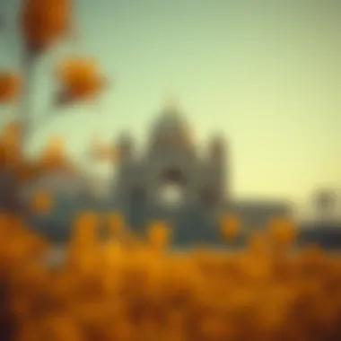 Magnificent 에이피엠코인: 새로운 디지털 자산의 탐색 Magnificent 에이피엠코인: 새로운 디지털 자산의 탐색
