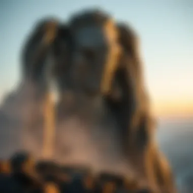 Magnificent 코인 도미넌스의 중요성과 이해 Magnificent 코인 도미넌스의 중요성과 이해
