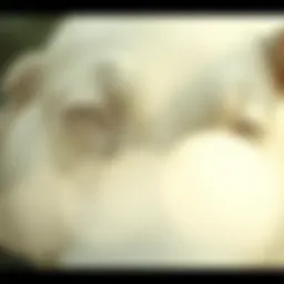 블록체인랩스의 탐구 Introduction