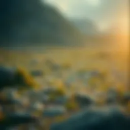 비트코인 레버리지 계산기 활용법 및 이해 Introduction