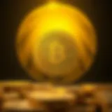 Biticodes는 가짜인가 실제인가? Introduction