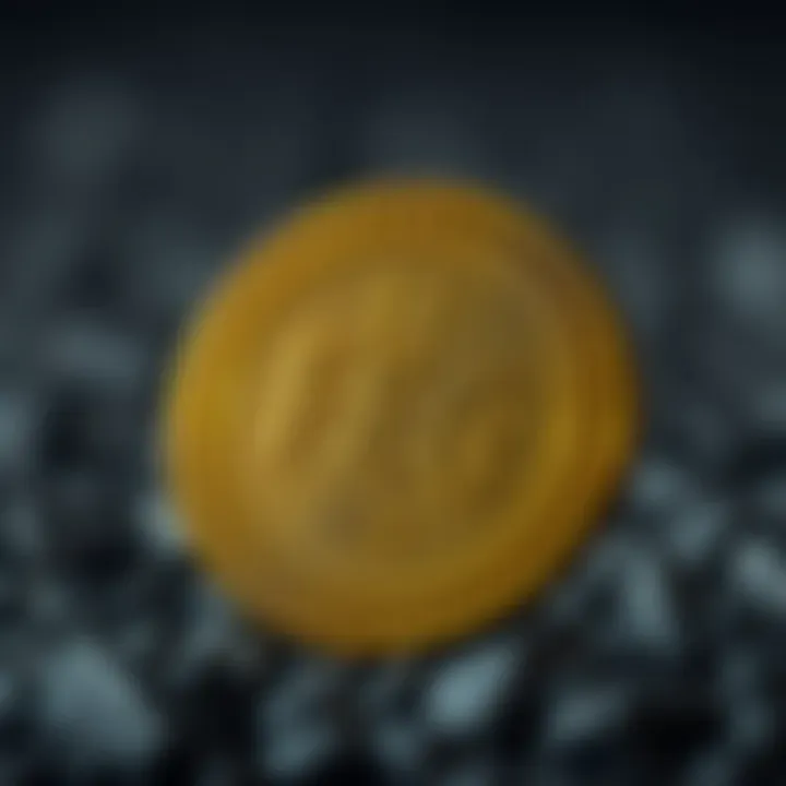 Notable Feg Token: 깊이 있는 분석과 전망