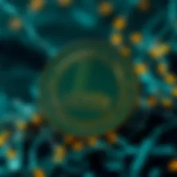 A visual representation of LEVER coin's blockchain structure