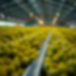 Yield Farming: 암호화폐의 수익성 있는 투자 전략 Introduction